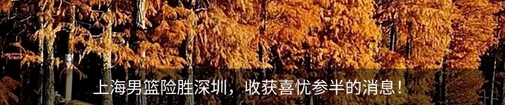 内页banner